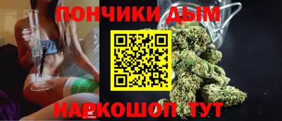 мдпв Бийск