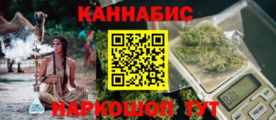 мдпв Бийск