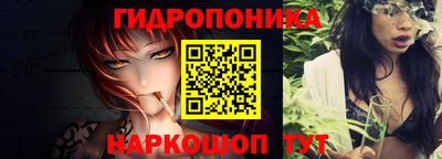 мдпв Бийск