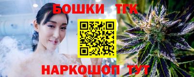 мдпв Бийск