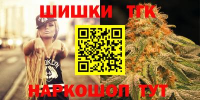 мдпв Бийск