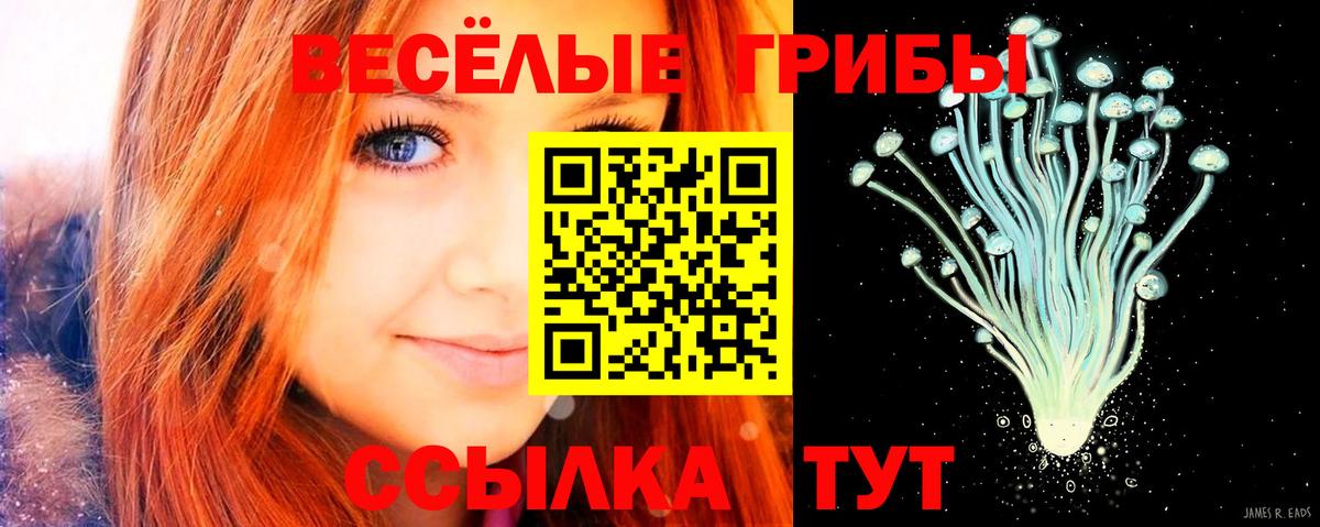 Галлюциногенные грибы мухоморы  Псилоцибиновые грибы Magic Shrooms  Бугуруслан  Вход с VPN 